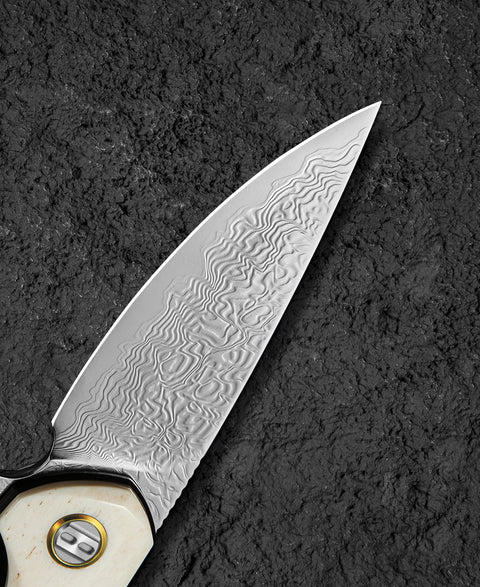 BESTECH BAMBI BL08C 3.11" Damascus Steel Blade Ox Bone Handle