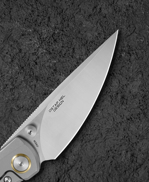 BESTECH LITO BT2307A Titanium+Black Canvas Micarta Inlay Handle: 2.48" M390 Blade