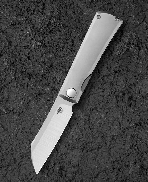 BESTECH BRUV BT2401A 2.95" M390 Blade Titanium Handle