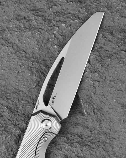 BESTECH TAIPAN BT2503A Titanium Handle: 3.728'' MagnaCut Blade