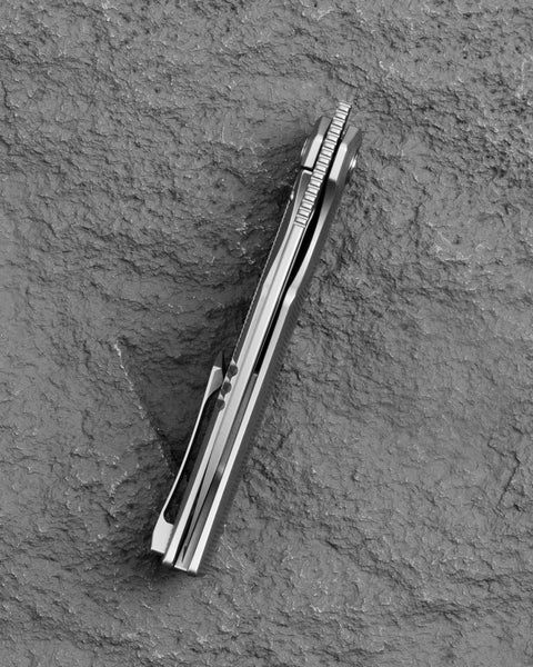 BESTECH TAIPAN BT2503A Titanium Handle: 3.728'' MagnaCut Blade