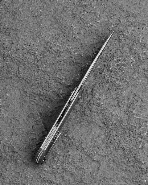 BESTECH TAIPAN BT2503A Titanium Handle: 3.728'' MagnaCut Blade