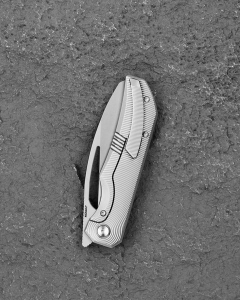 BESTECH TAIPAN BT2503A Titanium Handle: 3.728'' MagnaCut Blade