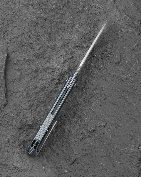 BESTECH TAIPAN BT2503D Titanium Handle: 3.73" Hollow Grinds MC Blade Frame Lock