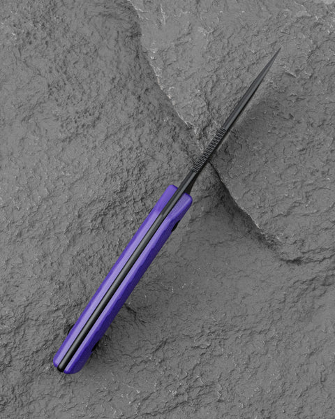 BESTECH STEP BFK06C 3.193'' D2 Blade Purple G10 Handle with Kydex Sheath