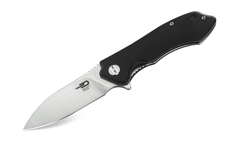 BESTECH BELUGA G10 Handle: 2.96" D2 Blade BG11D-2