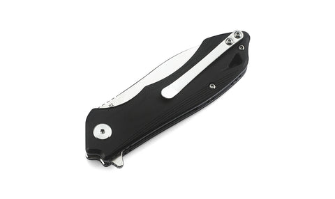 BESTECH BELUGA G10 Handle: 2.96" D2 Blade BG11D-2