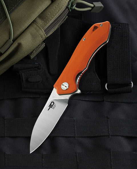 BESTECH BELUGA G10 Handle: 2.96" D2 Blade BG11E-2