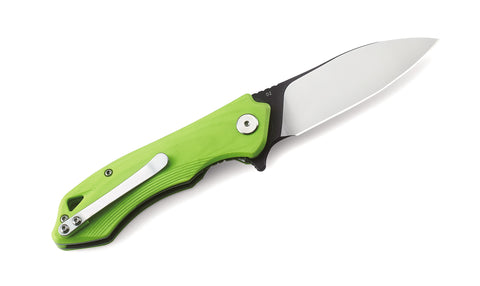 BESTECH BELUGA G10 Handle: 2.96" D2 Blade BG11F-1