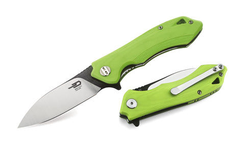 BESTECH BELUGA G10 Handle: 2.96" D2 Blade BG11F-1