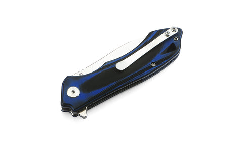 BESTECH BELUGA G10 Handle: 2.96" D2 Blade BG11G-2