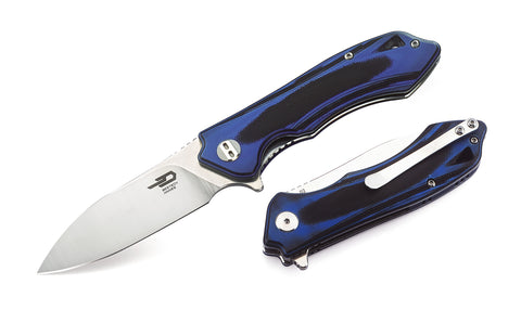 BESTECH BELUGA G10 Handle: 2.96" D2 Blade BG11G-2