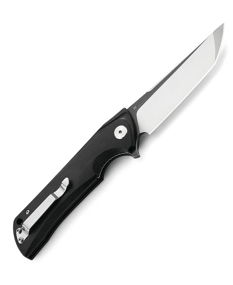 BESTECH PALADIN G10 Handle: 3.54" D2 Blade BG16A-2