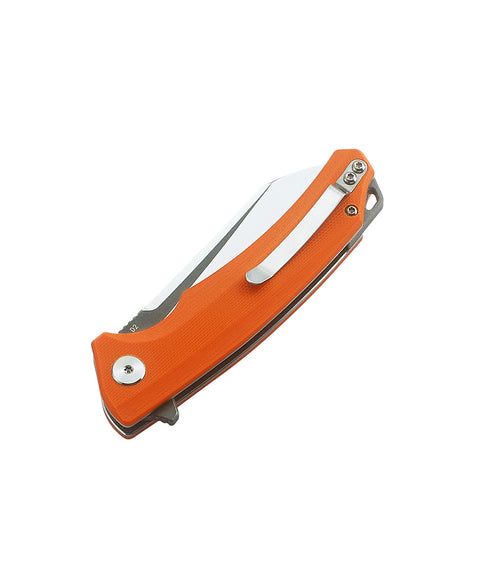 BESTECH TEXEL G10 Handle: 3.23" D2 Blade BG21D-2