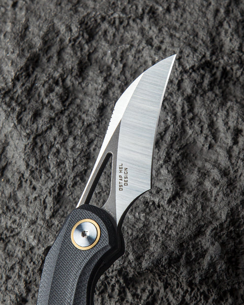 BESTECH BIHAI G10 Handle: 2.15" 14C28N Blade BG53A-2