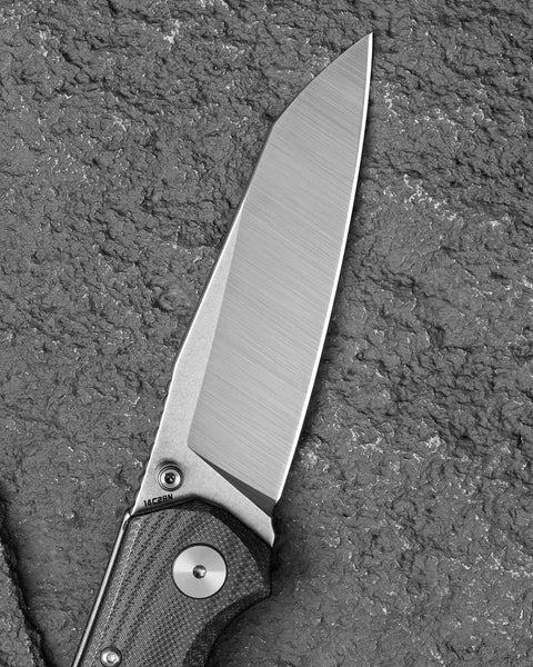 BESTECH SNAKEBIRD BG58C Black G10 Handle 3.54" 14C28N Blade