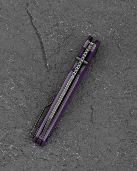 BESTECH SNAKEBIRD BG58E Purple G10 Handle 3.54" 14C28N Blade