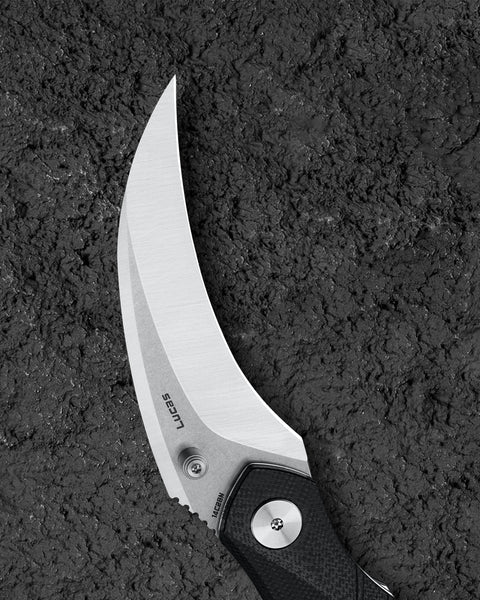 BESTECH MANTIDAE BG60A G10 Handle 2.94" 14C28N Blade
