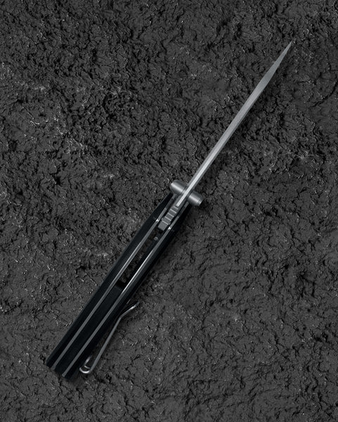 BESTECH MANTIDAE BG60A G10 Handle 2.94" 14C28N Blade