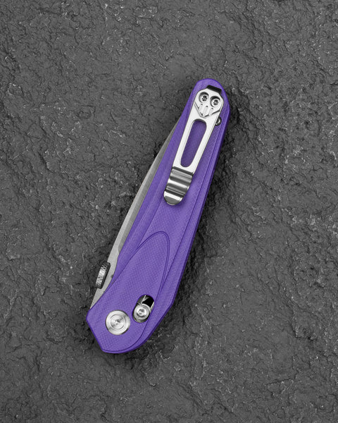BESTECH MOTHUS BG67C Purple G10 Handle: 3.47" 14C28N Blade