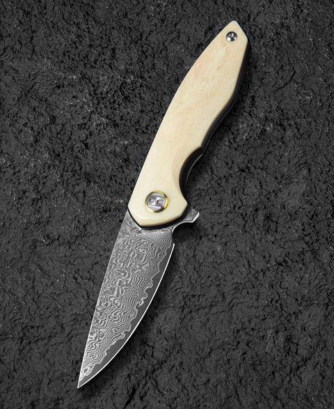 BESTECH BAMBI BL08B 3.11" Damascus Steel Blade Ox Bone Handle