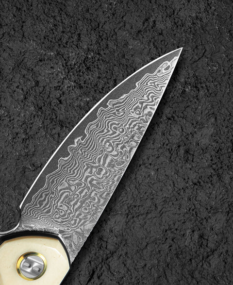 BESTECH BAMBI BL08B 3.11" Damascus Steel Blade Ox Bone Handle