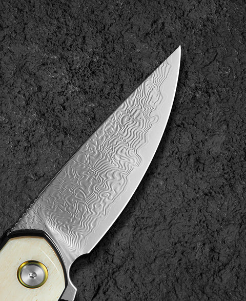 BESTECH BAMBI BL08C 3.11" Damascus Steel Blade Ox Bone Handle