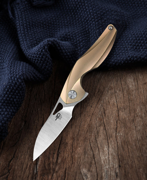 BESTECH THE RETICULAN BT1810D Titanium Handle: 2.09" CPM-S35VN Blade