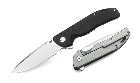 BESTECH BISON BT1904A-1 Titanium and Carbon Fiber Handle: 3.54" D2 Blade