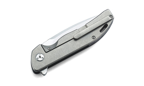 BESTECH BISON BT1904B-1 Titanium and G10 Handle: 3.54" D2 Blade