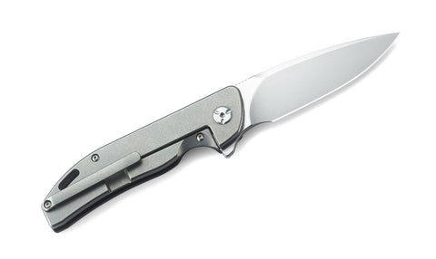 BESTECH BISON BT1904B-1 Titanium and G10 Handle: 3.54" D2 Blade