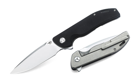 BESTECH BISON BT1904B-1 Titanium and G10 Handle: 3.54" D2 Blade