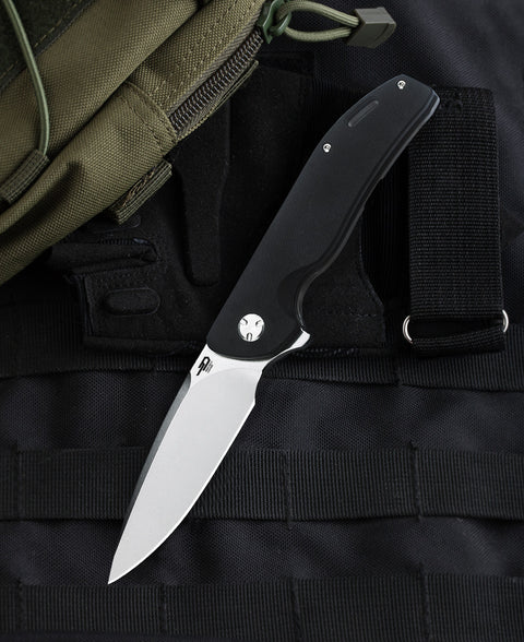 BESTECH BISON BT1904B-1 Titanium and G10 Handle: 3.54" D2 Blade