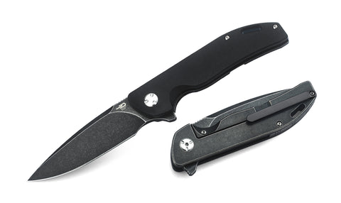 BESTECH BISON BT1904B-2 Titanium and G10 Handle: 3.54" D2 Blade