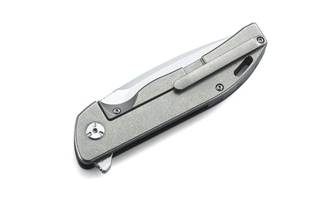 BESTECH BISON BT1904C-1 Titanium and G10 Handle: 3.54" D2 Blade