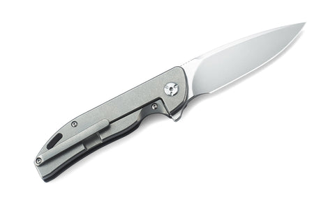 BESTECH BISON BT1904C-1 Titanium and G10 Handle: 3.54" D2 Blade