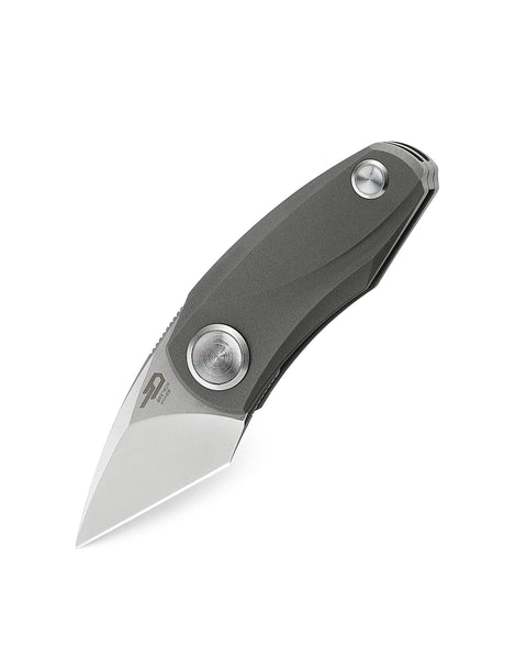 BESTECH TULIP BT1912E Titanium Handle: 1.34" M390 Blade