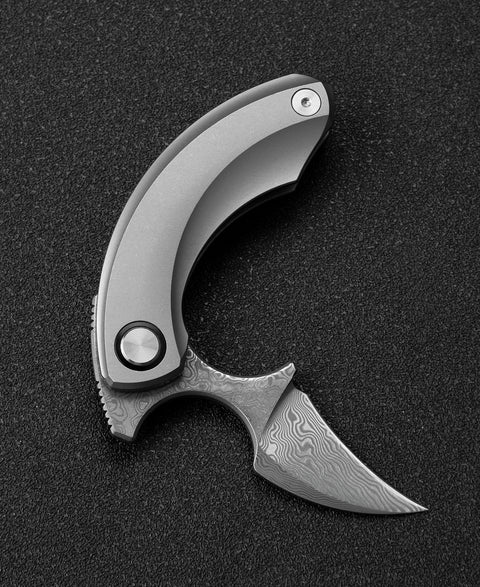 BESTECH  STRELIT BT2103G Titanium Handle: 2.19" Damascus Blade