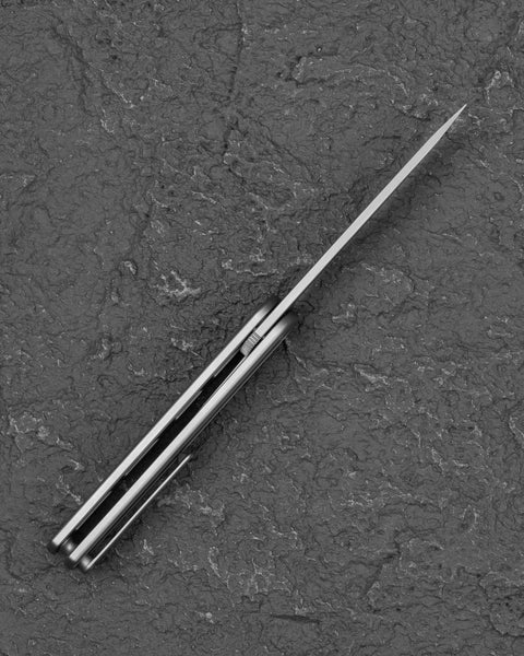 BESTECH INK BT2502A Silver Titanium Handle 3.13'' MagnaCut Blade