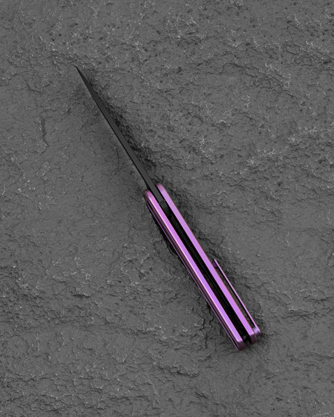 BESTECH INK BT2502C Purple Titanium Handle 3.13'' MagnaCut Blade