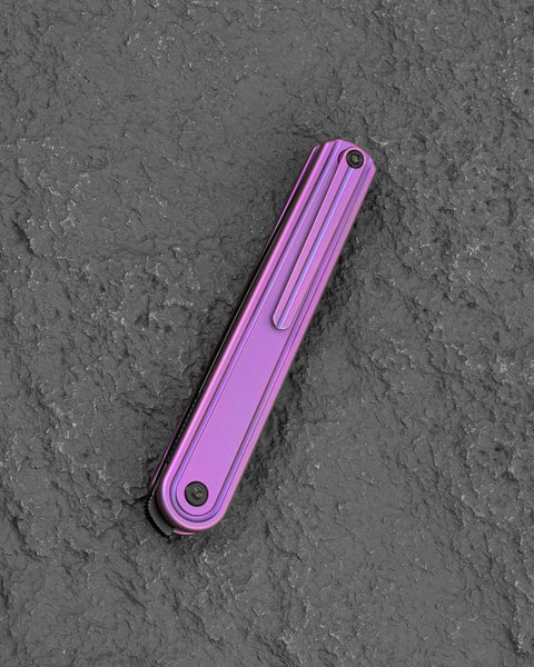 BESTECH INK BT2502C Purple Titanium Handle 3.13'' MagnaCut Blade