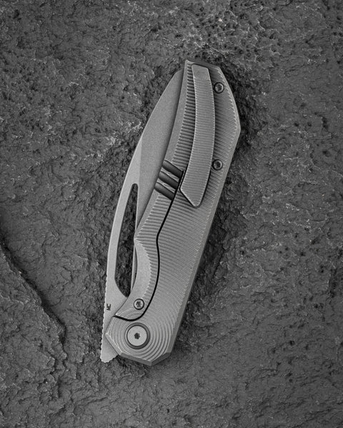 BESTECH TAIPAN BT2503F Titanium Handle: 3.73" Hollow Grinds MC Blade Frame Lock