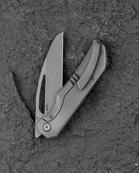 BESTECH TAIPAN BT2503F Titanium Handle: 3.73" Hollow Grinds MC Blade Frame Lock