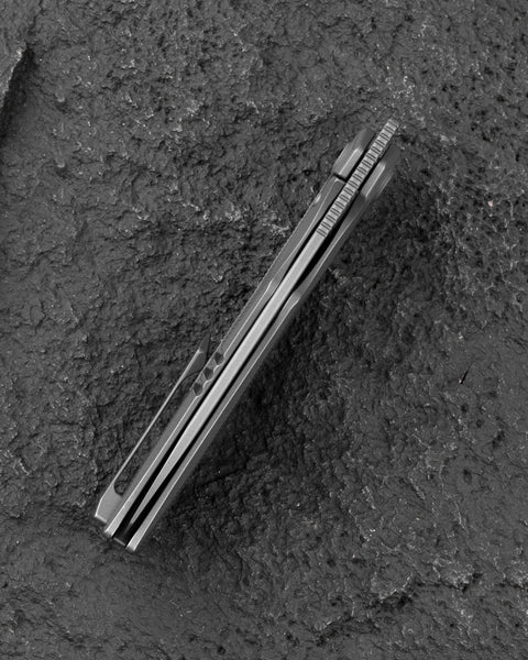 BESTECH TAIPAN BT2503F Titanium Handle: 3.73" Hollow Grinds MC Blade Frame Lock