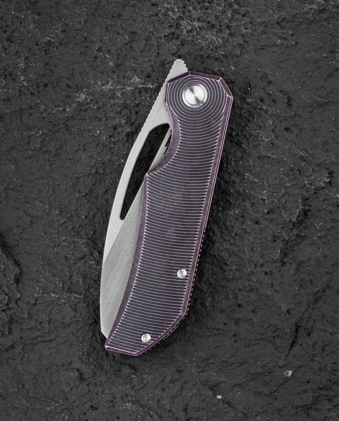 BESTECH TAIPAN BT2503H Titanium Handle: 3.73" Hollow Grinds MC Blade Frame Lock